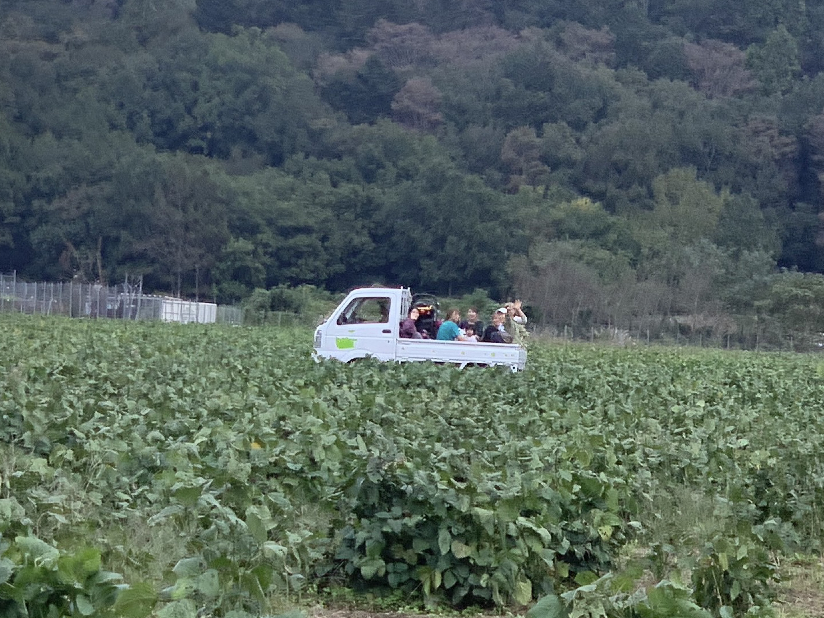 農作業手伝い者がトラックに乗った様子