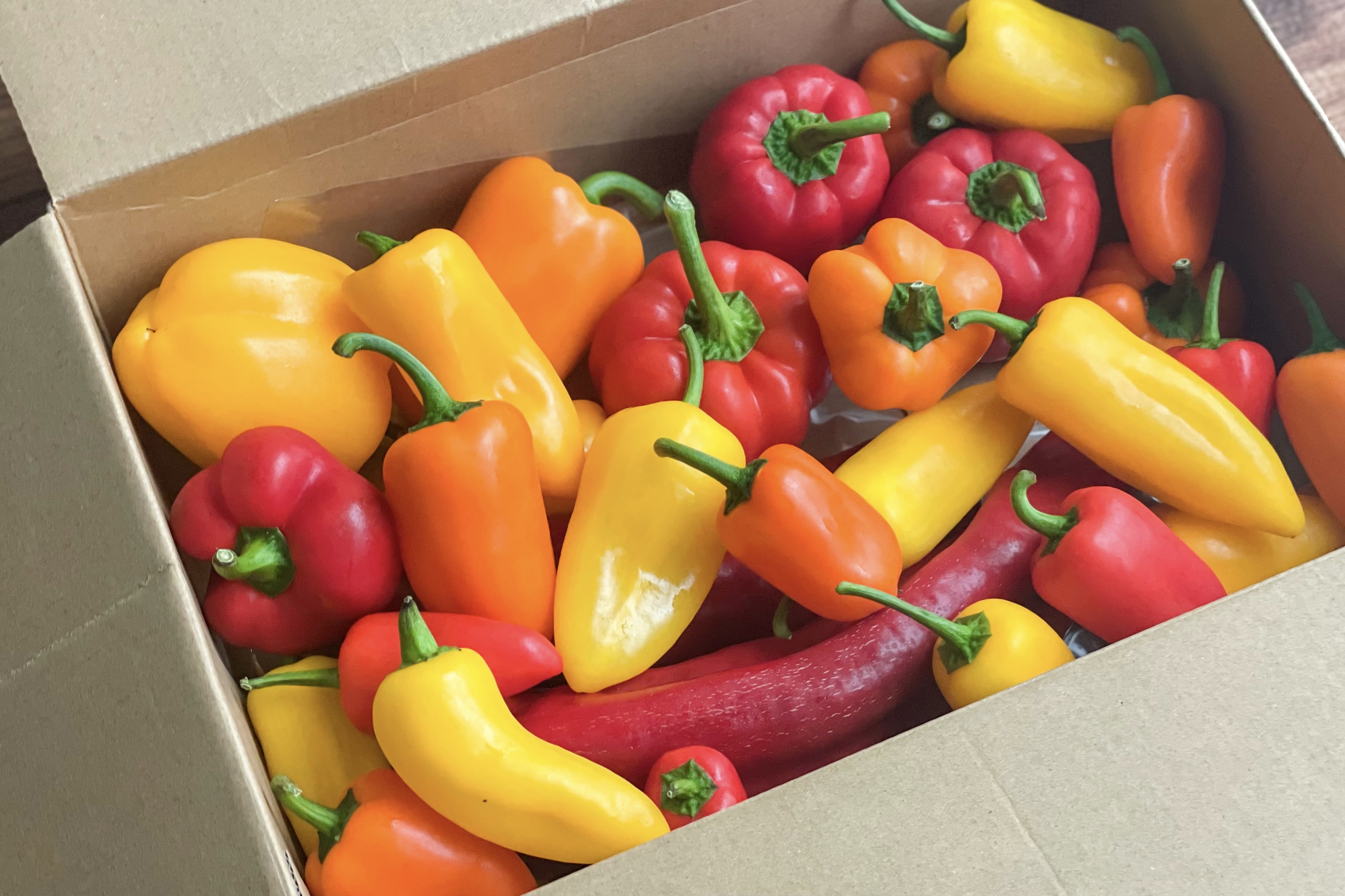 箱に入って届いた色とりどりのパプリカ