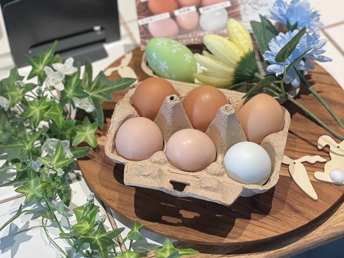 6種の卵