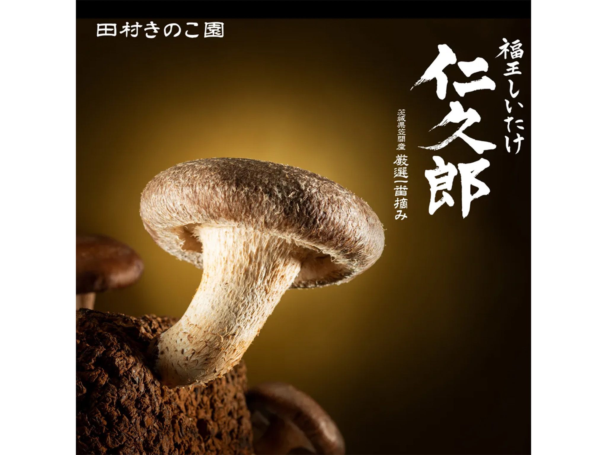 福王しいたけビジュアル