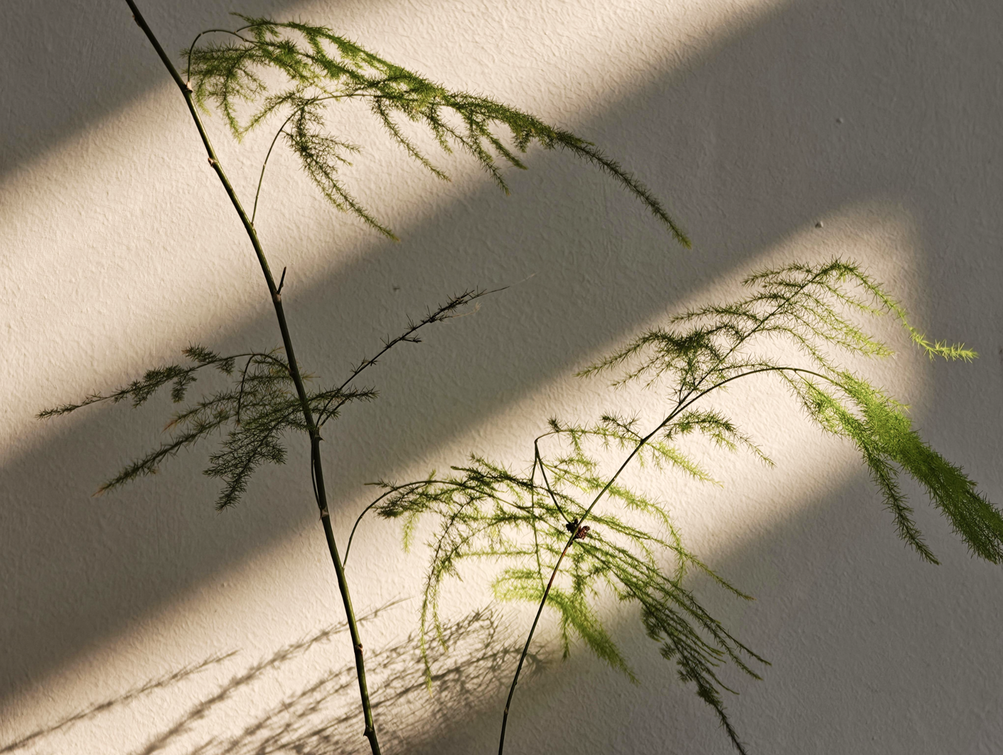 周りの目を気にせず、自分に向き合う時間