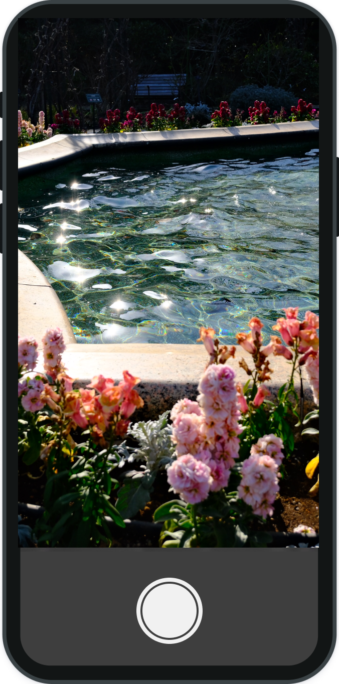 フィルム機能画面